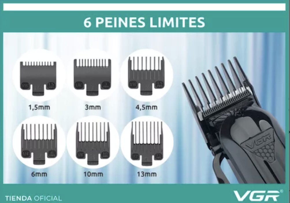 Miniatura 5 de VGR-282